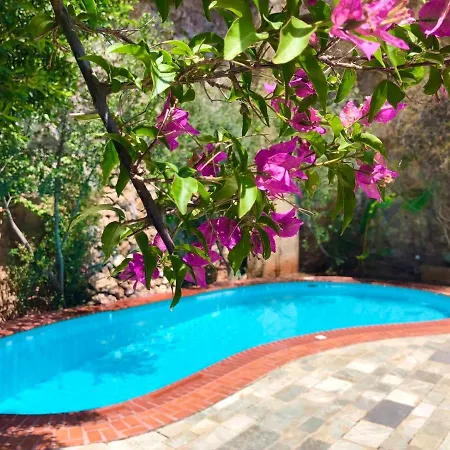 Zen Villa *